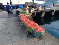 Kota Jogja Masih Bergantung pada Pasokan Pangan dari Luar Daerah